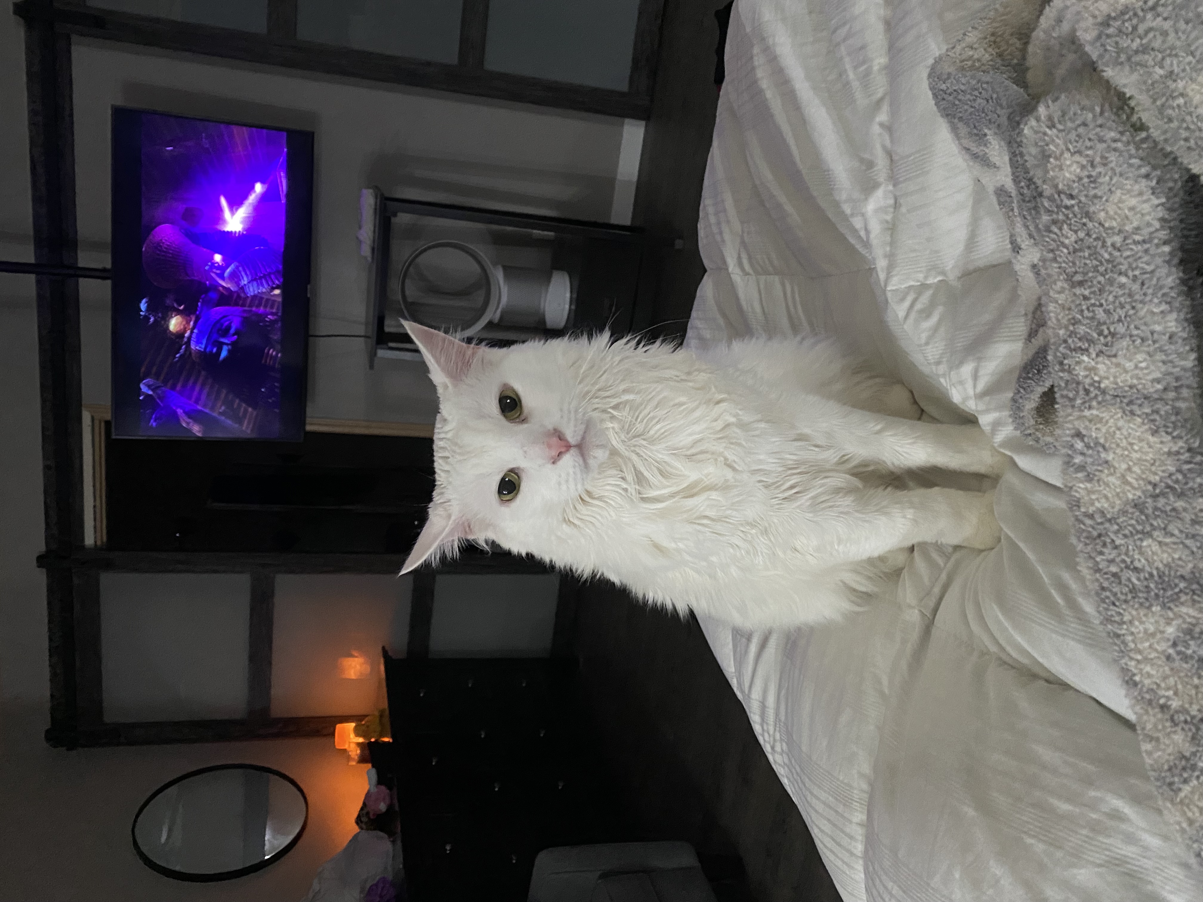 KittyHeidi’s avatar