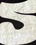 Shoe'N logo picture